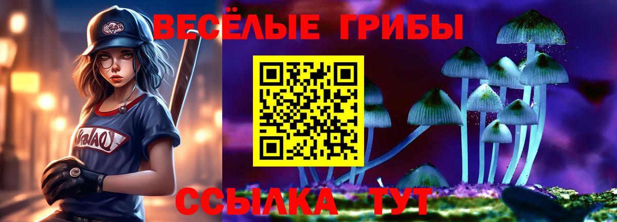 Псилоцибиновые грибы Cubensis  Вход с VPN  Узловая 
