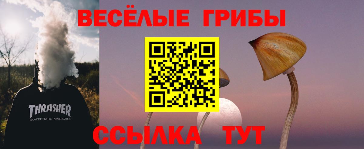 Галлюциногенные грибы Psilocybine cubensis Узловая